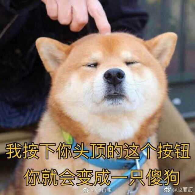 二货橙