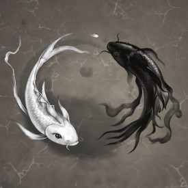 设计师头像