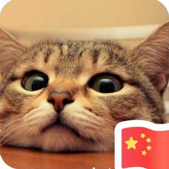 设计师头像