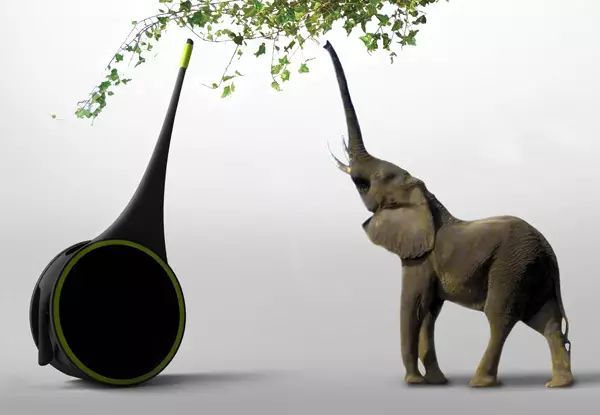 从来都是设计师的灵感之源 仿生产品模拟生物的结构,原理,行为,功能等